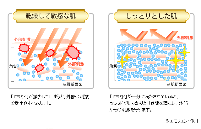 ソワニティー スキンローションプレミアム | [公式]ナチュラルガーデン