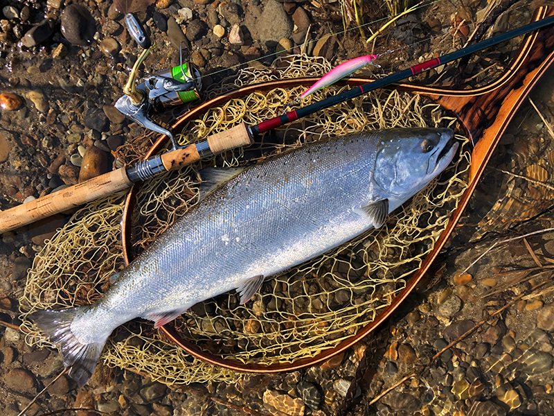 第三世代ブランク構想/page/4｜ニュース（総合ブログ） ｜Casket