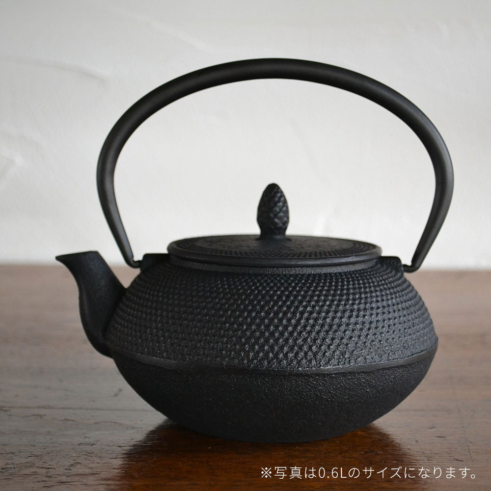 南部鉄器 急須 アラレ 0.4L 5種 ｜のレン神楽坂【公式通販】発酵