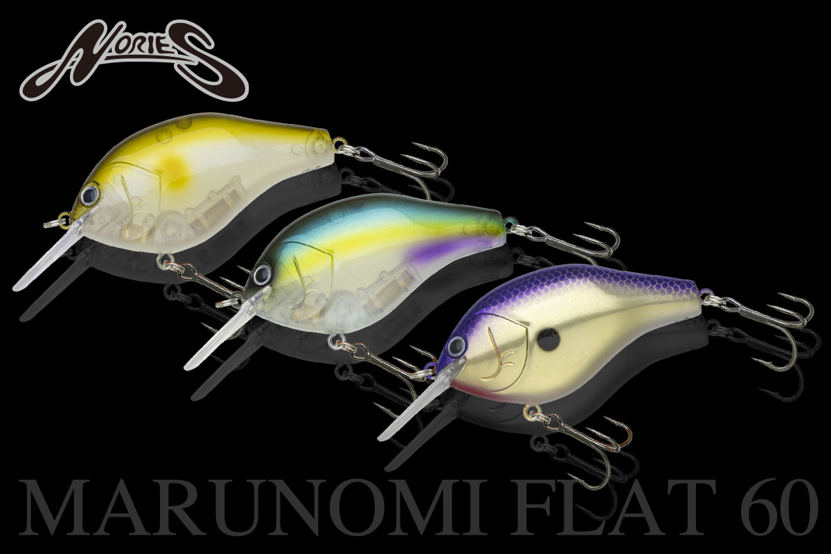 新色 MARUNOMI FLAT 60 | INFORMATION | NORIES