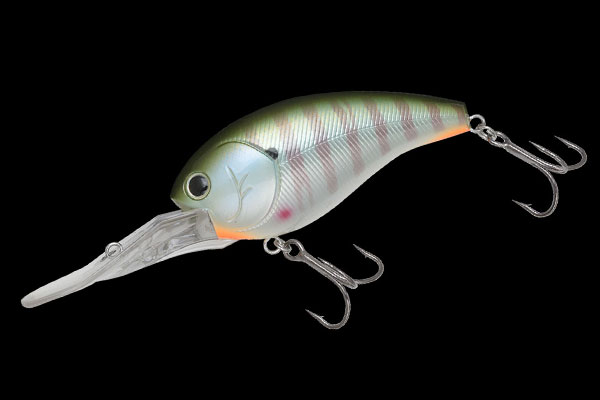 COMPLETE SQUARE 70 | BASS | NORIES