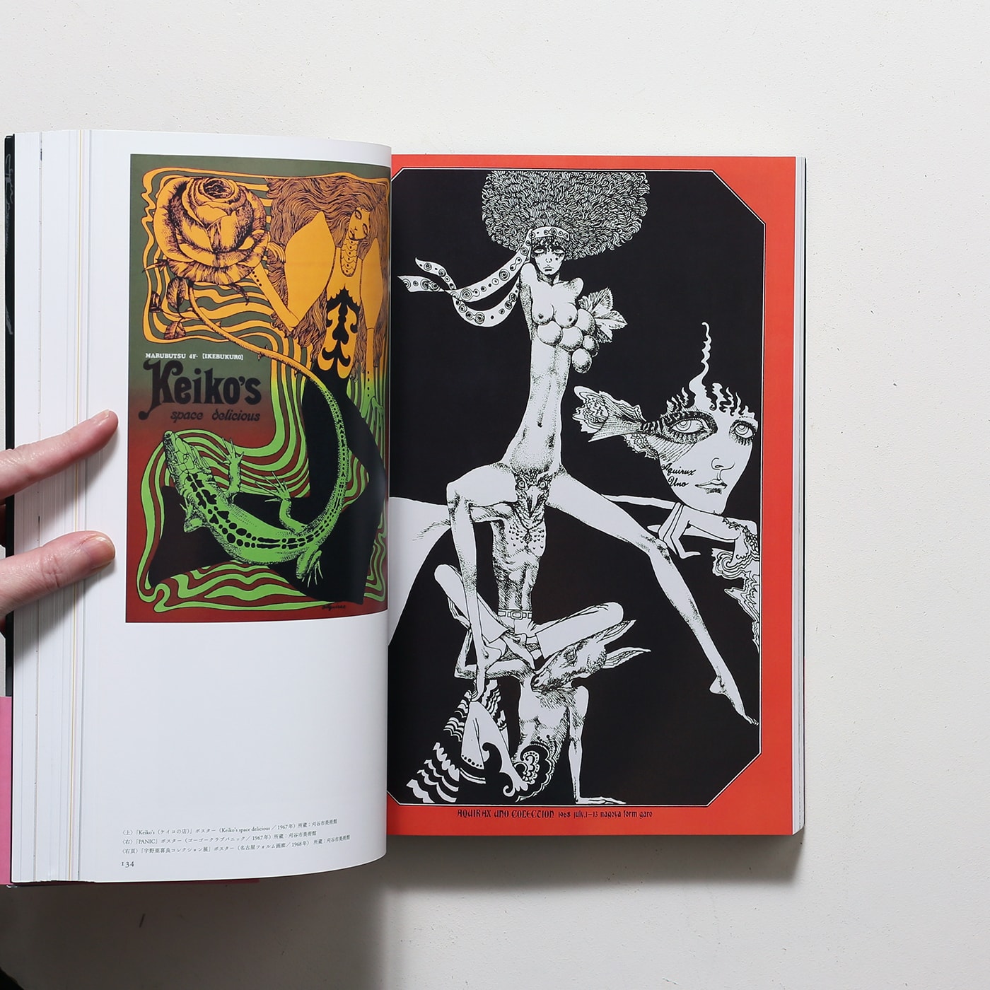 宇野亞喜良クロニクル | グラフィック社 | nostos books ノストスブックス