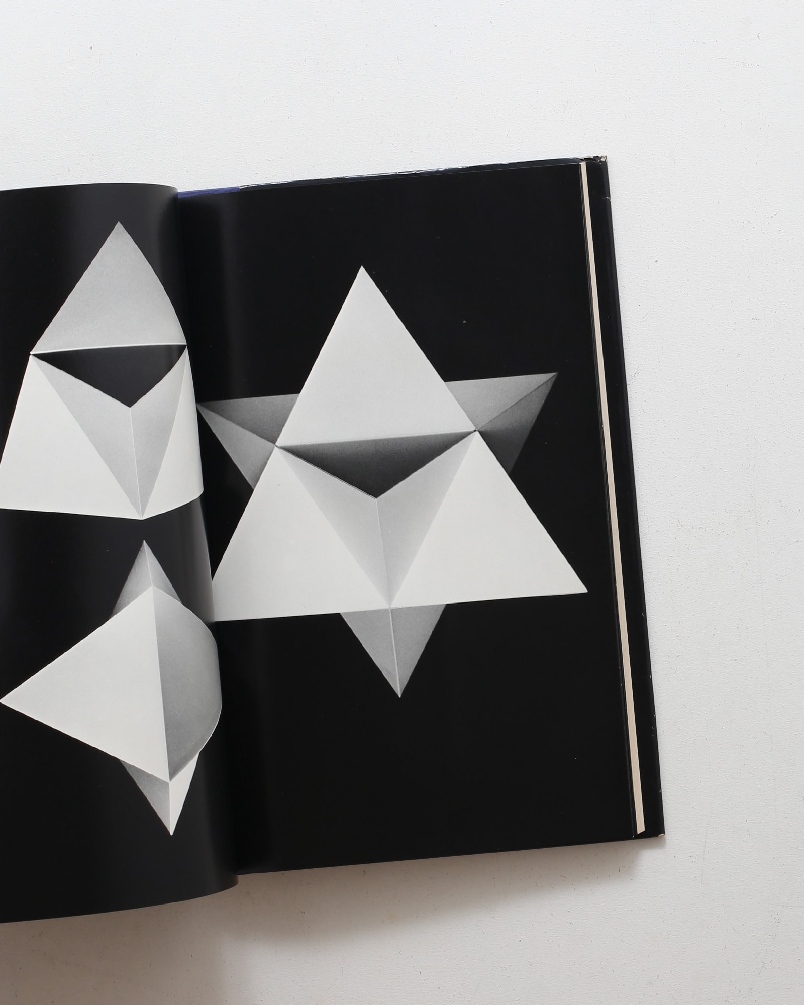 紙のフォルム II | 尾川宏 | nostos books ノストスブックス