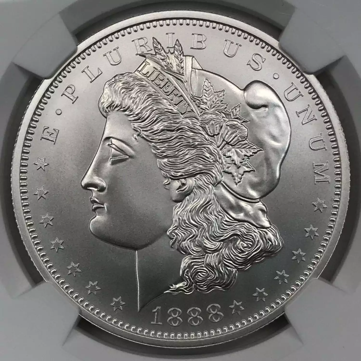 2023 1 oz Silver NGC MS-70 Fiji Morgan - FDI 