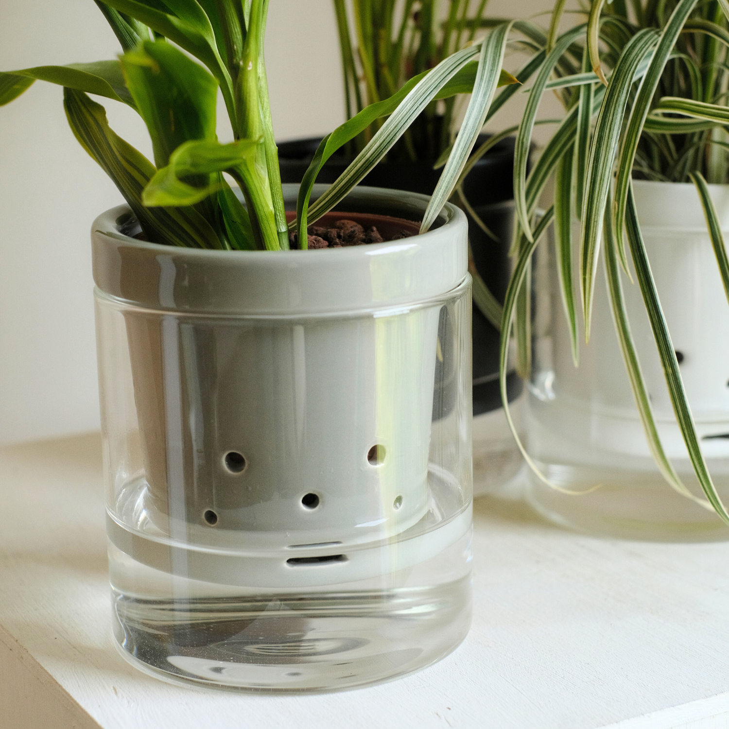 水耕栽培 ハイドロカルチャー専用鉢 食虫植物の鉢｜陶器 おしゃれな鉢