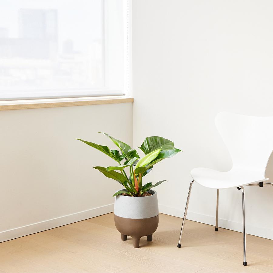 NODERIUM | プランターカバー 脚付き（直径25cm）ナチュラル｜【公式