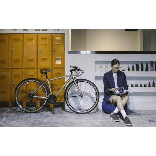 FUJI ( フジ ) クロスバイク RAIZ ( ライズ ) フレアゴールド 19inch