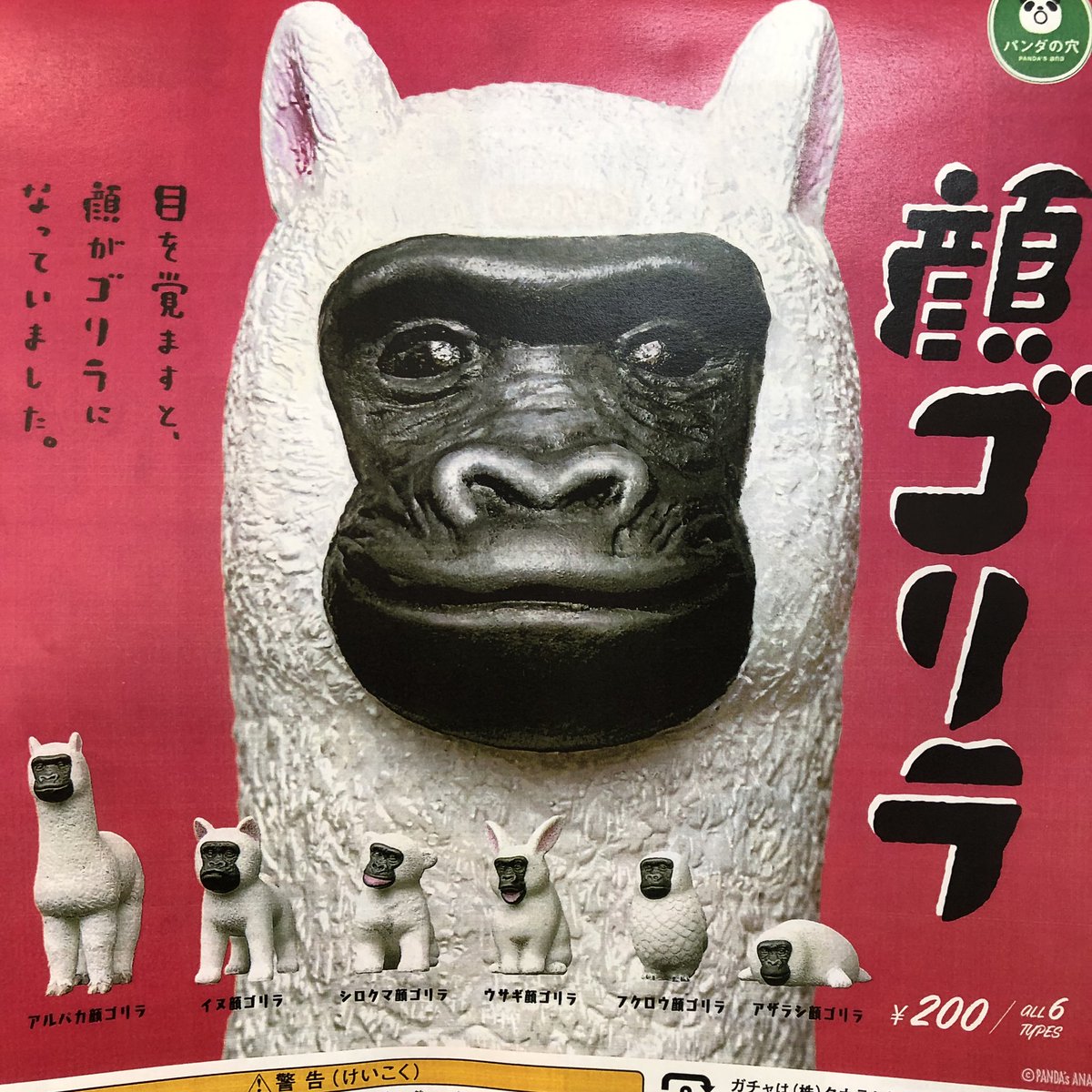 ⭐️7月26日 新商品入荷しました⭐️ ▶️#シャクレルプラネット 5