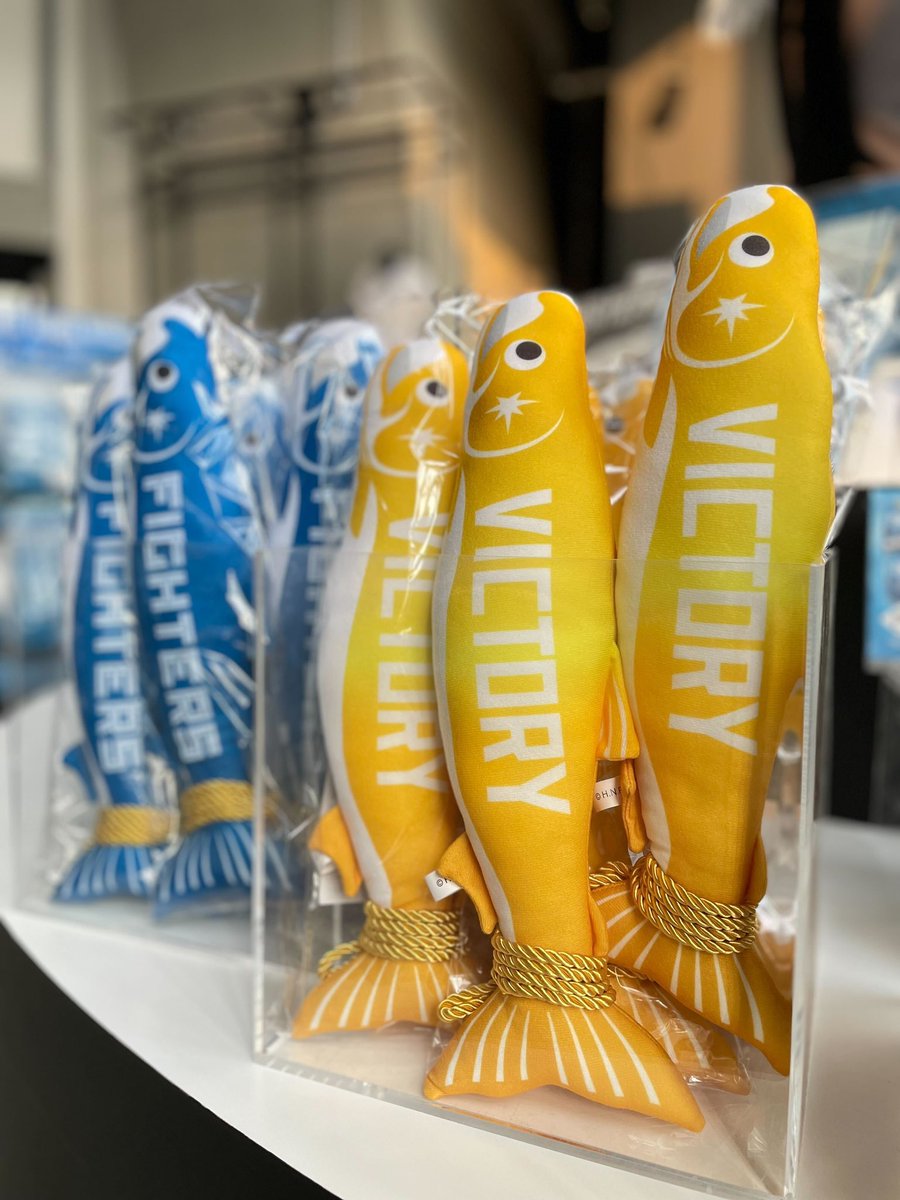 ✨✨✨✨✨✨✨ #VICTORYしゃけまる 放流開始