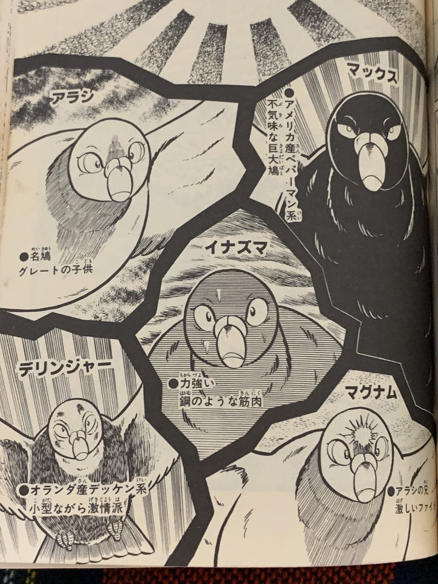 レース鳩0777(ｱﾗｼ 飯森広一 少年チャンピオン黄金期の隠れ.. | 空色