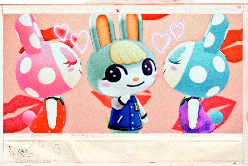 早くこんな事してみたい😋💕 ミッチェルくんたのしみですね