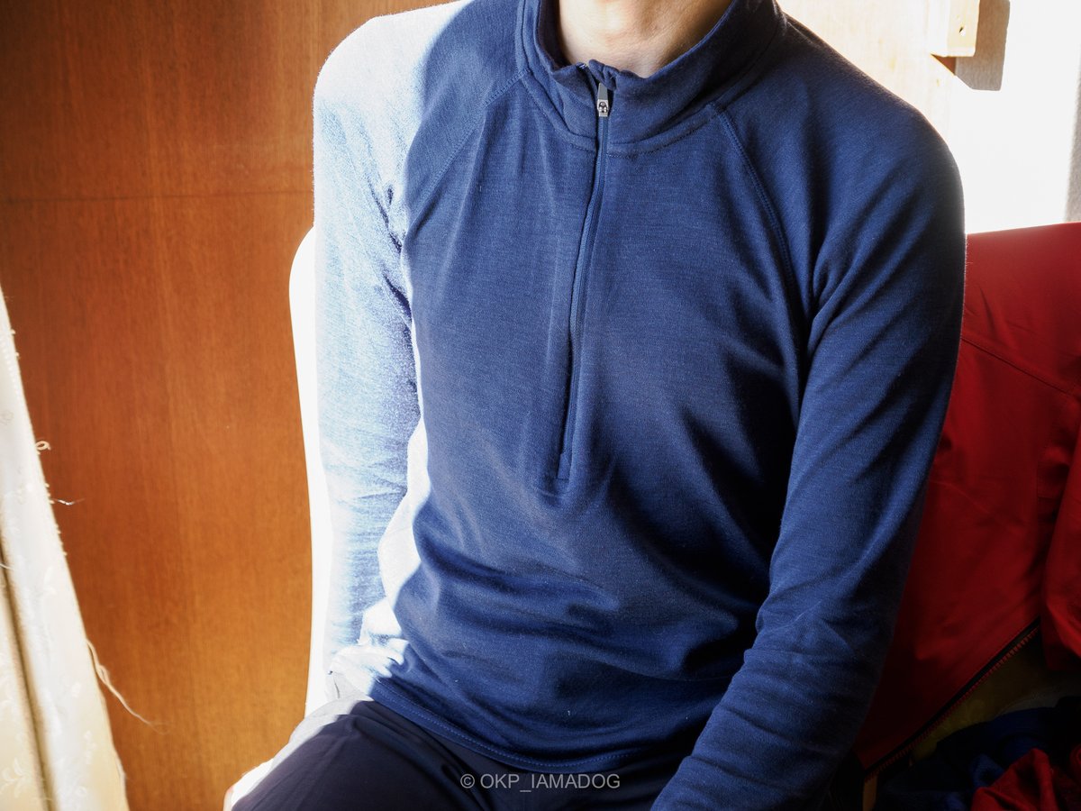 ワークマンの「メリノウール100ミドルウエイト長袖ハーフジップ」を