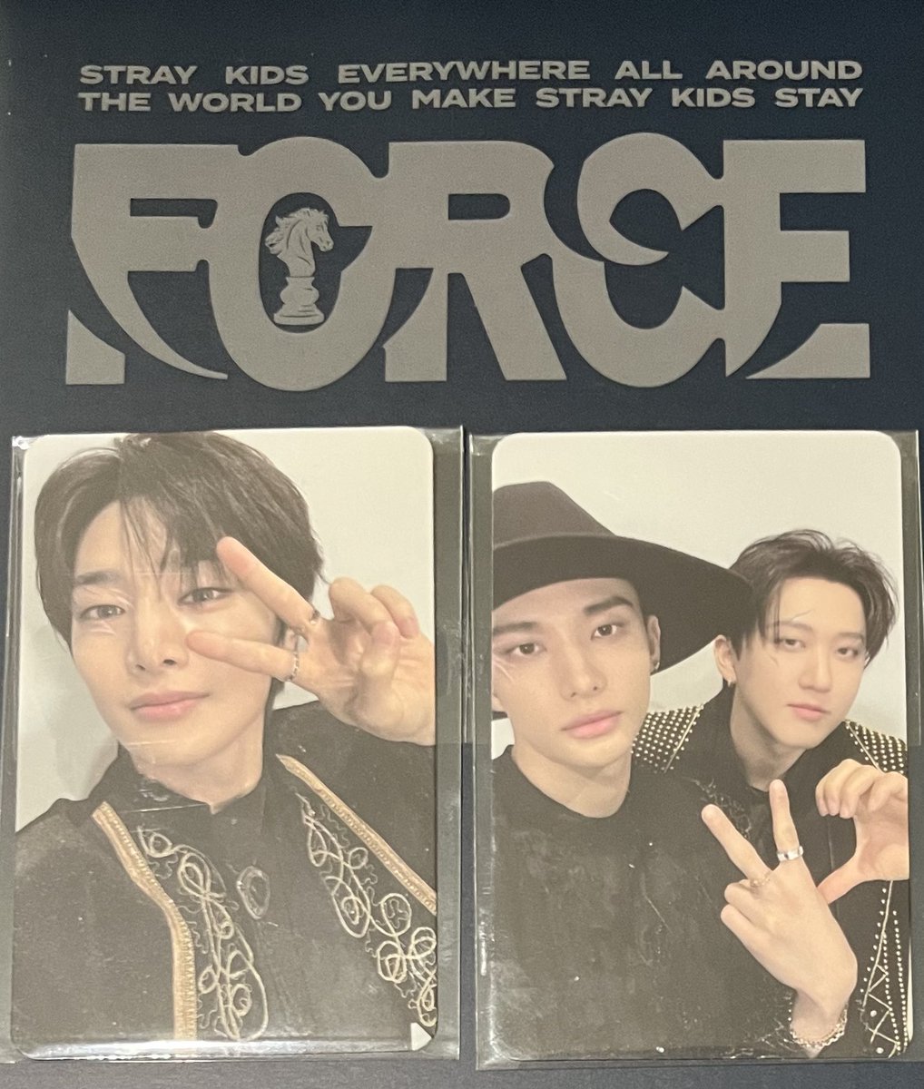 straykids スキズ シーグリ FORCE トレカ 味噌 リノ ハン Stray Kids