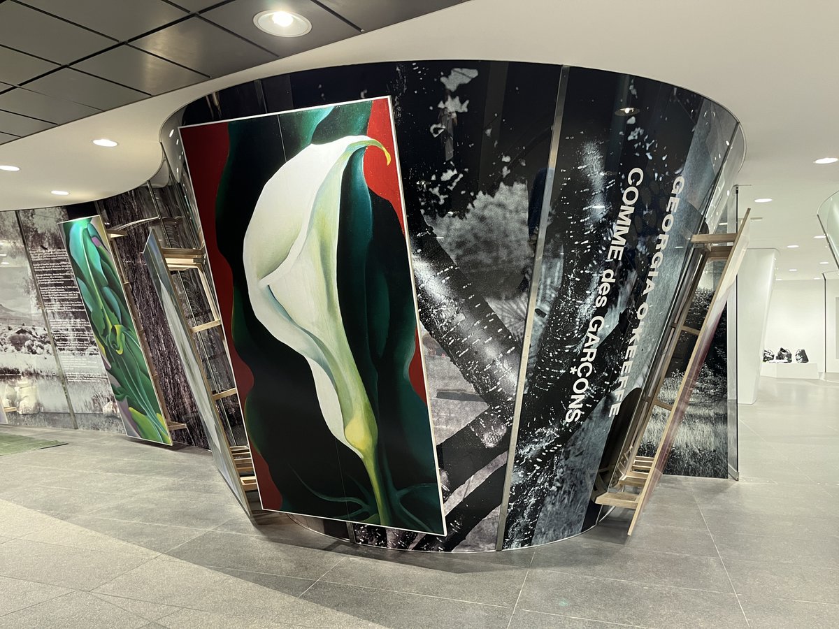 青山のコムデギャルソンのウインドウがジョージア・オキーフになってて