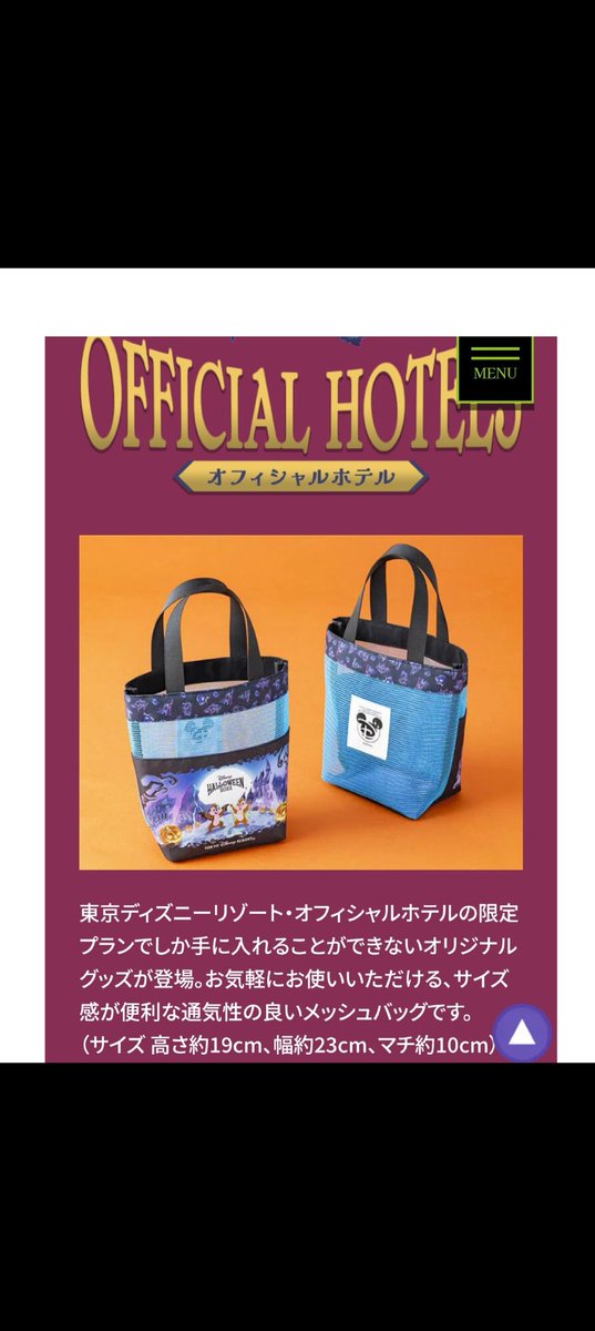 9/17-31 チデ メッシュバッグ 東京ディズニーリゾート オフィシャル