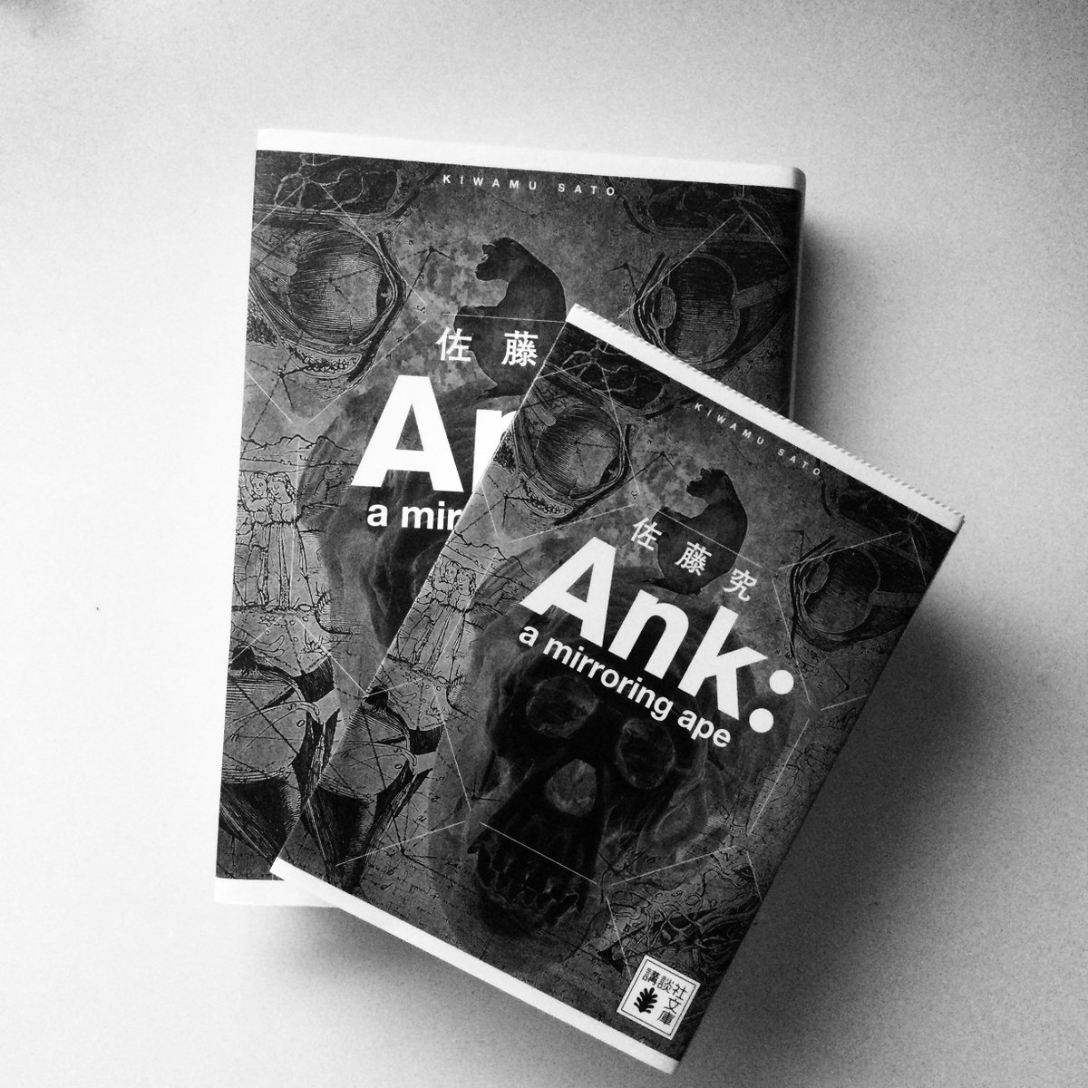 QJKJQ』『Ank: a mirroring ape』『テスカトリポカ』が〈鏡三部作〉。