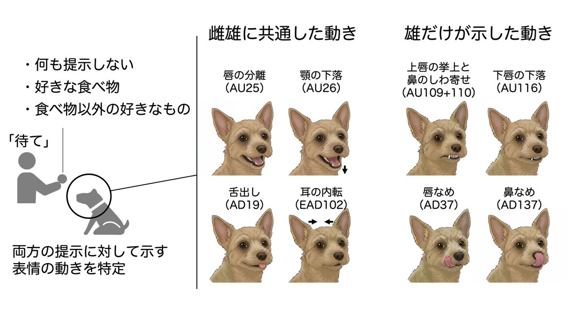 真夏の夜のイッヌ (@ahoinnu) / Posts / X