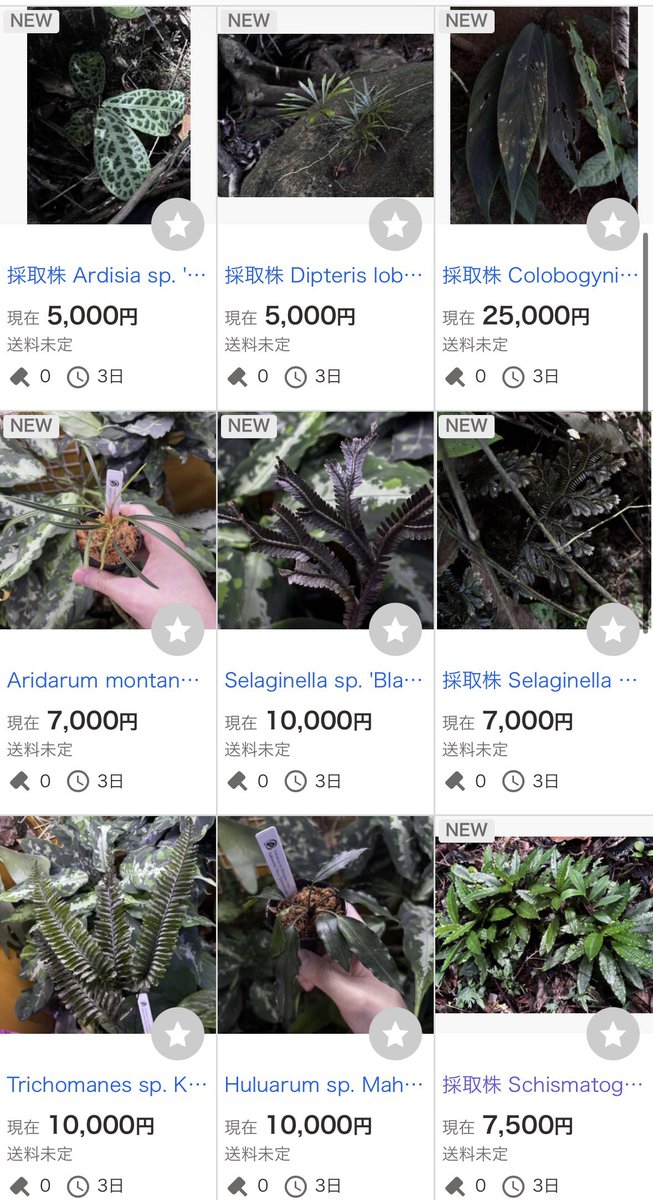 間も無く終了です！