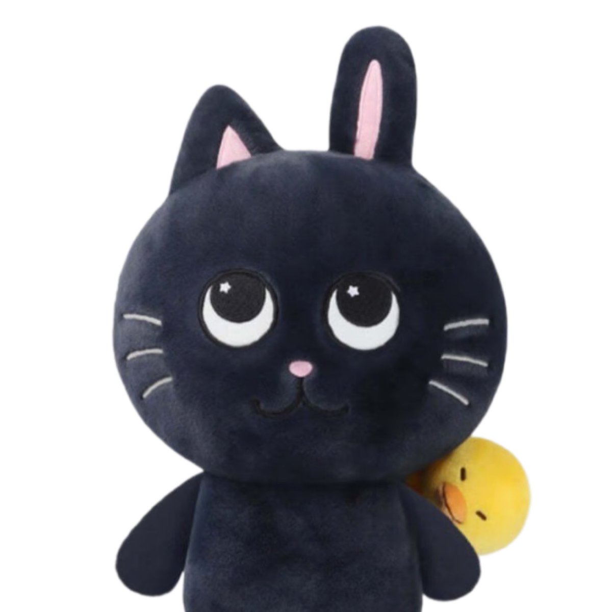 ウォンビン𓏵ྀི (@bouquetbabe) on X