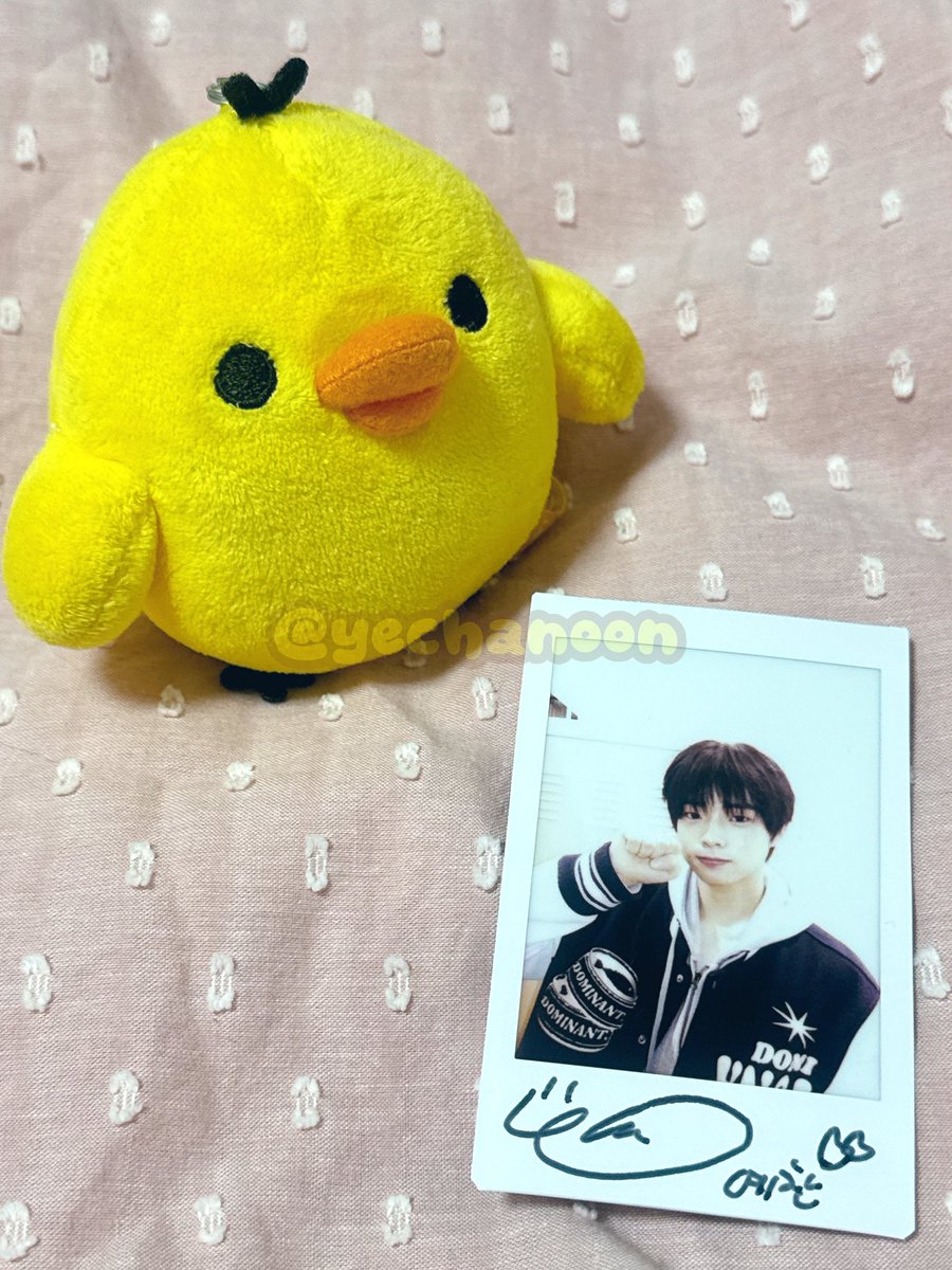 人生4カット(インセンネコッ) (@life4cuts_jp) / Posts / X