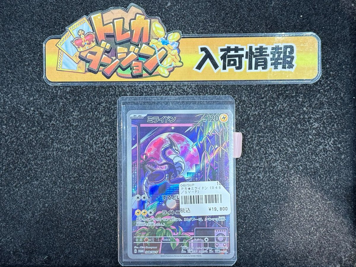 ポケモンカード 🔥入荷情報🔥 ミライドン（048/SV-P） こちら入荷