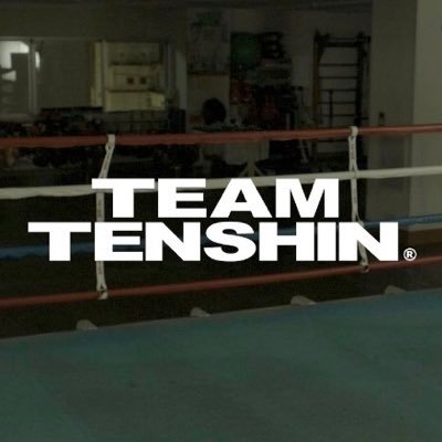 TEAM TENSHIN (@TeamTenshin_) / Posts / X
