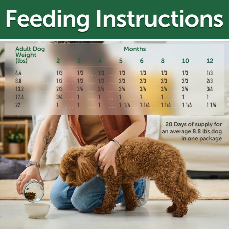 Nature's Protection Superior Care Red Coat Grain-Free Salmon