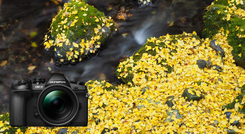 OM-D E-M1 Mark IIで風景写真を撮る 1｜OMフォトライフ｜OM SYSTEM公式