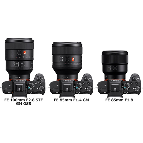 FE 100mm F2.8 STF GM OSS」と「FE 85mm F1.4 GM」と「FE 85mm F1.8