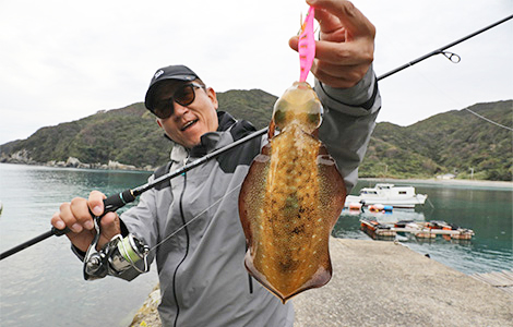 画像 No.11/11] DAIWA最高峰エギングロッド ストイストSTをヤマラッピ