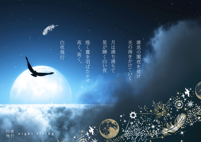 特別企画 】 数量限定！ブログ開設15周年記念特別セット 『 白夜飛行