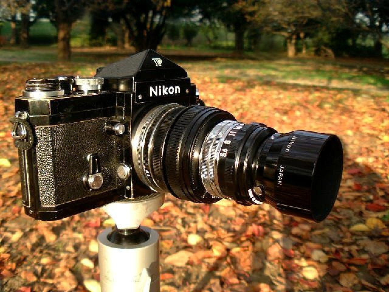 EL Nikkor 105mm F5.6