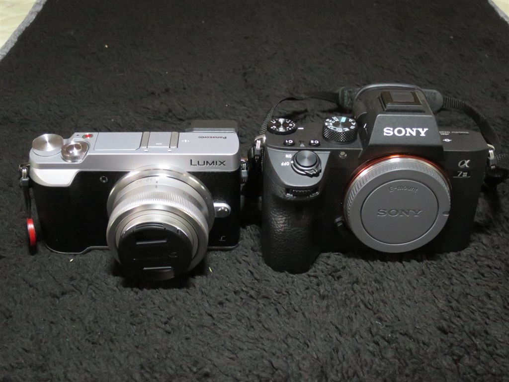 もう少しコンパクトなら最高なんだけど』 パナソニック LUMIX DMC