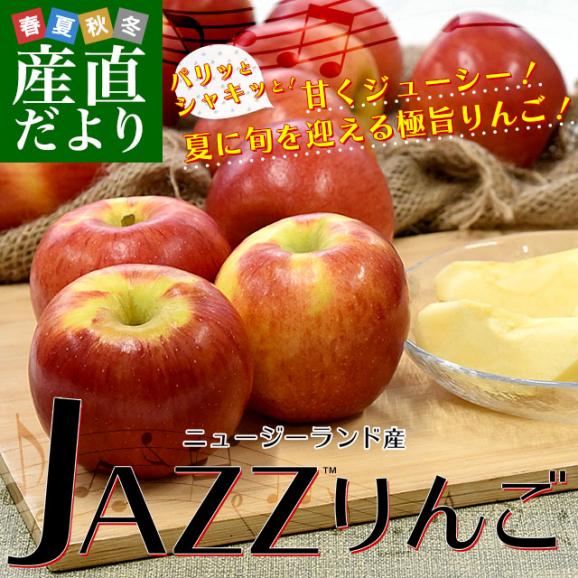 ニュージーランド産 JAZZりんご(品種:サイフレッシュ) 約2.6キロ(12玉