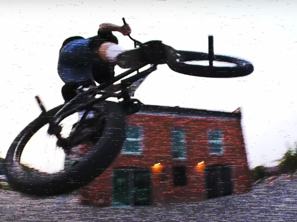 ANIMAL - モトクロスインターナショナル