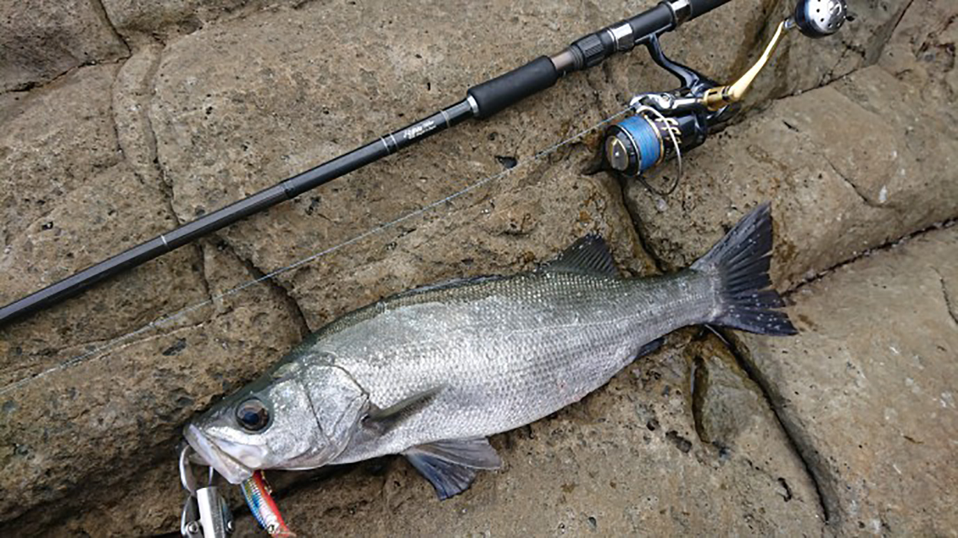 釣行レポート】RunnerExceed97EH / MonsterImpact110HH ロックショア