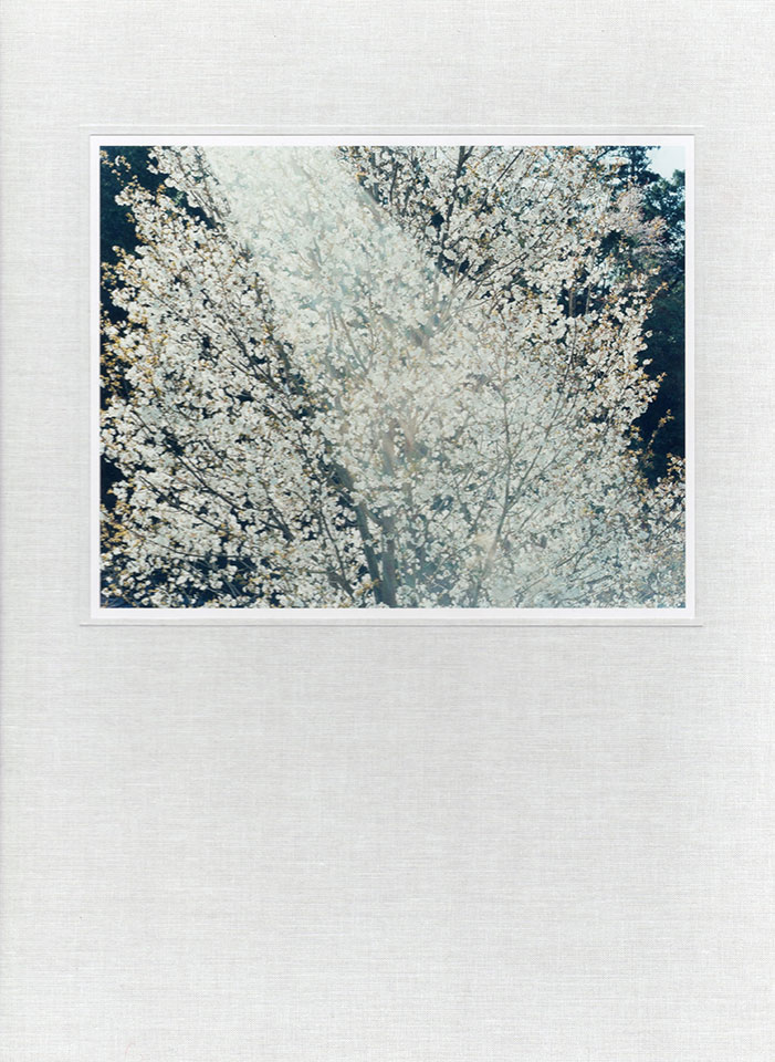 意識の流れ | 鈴木理策 | Risaku Suzuki | 鈴木理策 | Risaku Suzuki