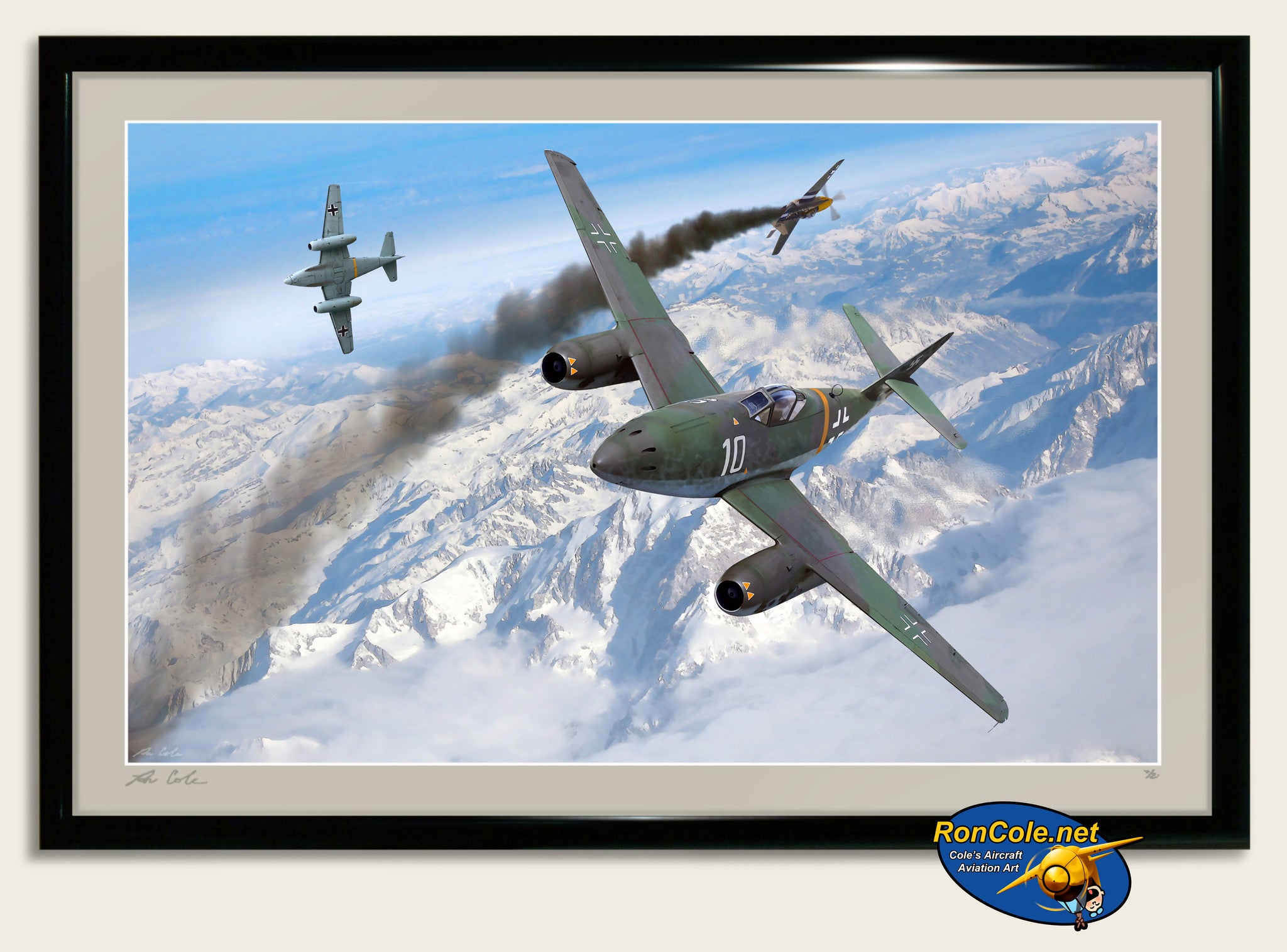 Alpine Victory: Luftwaffe Me 262 of JG 2