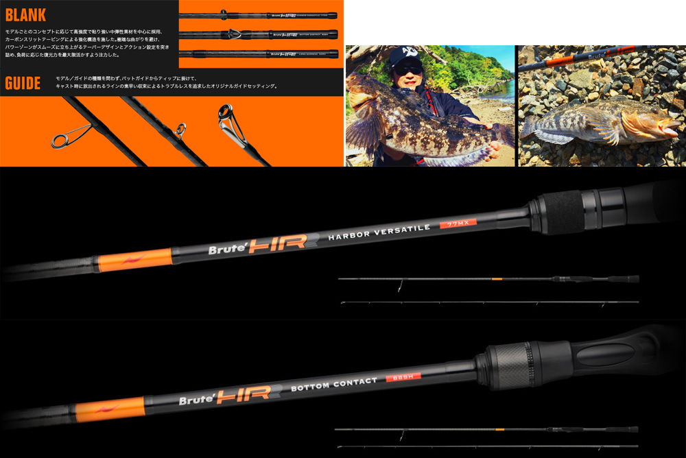 アピア（APIA）のロックフィッシュ専用おすすめベイト・スピニング