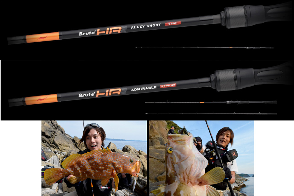 アピア（APIA）のロックフィッシュ専用おすすめベイト・スピニング