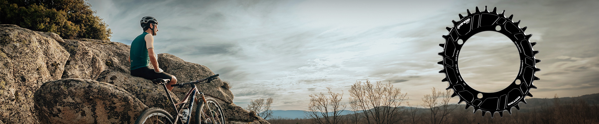 チェーンリング |ローター 自転車コンポーネント