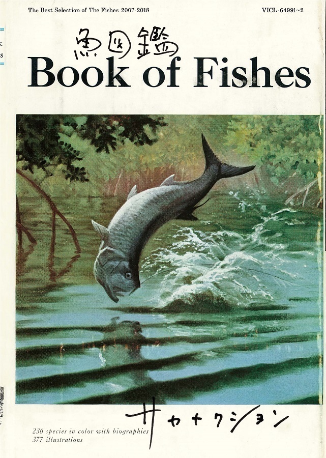 魚図鑑 | サカナクション - 💽