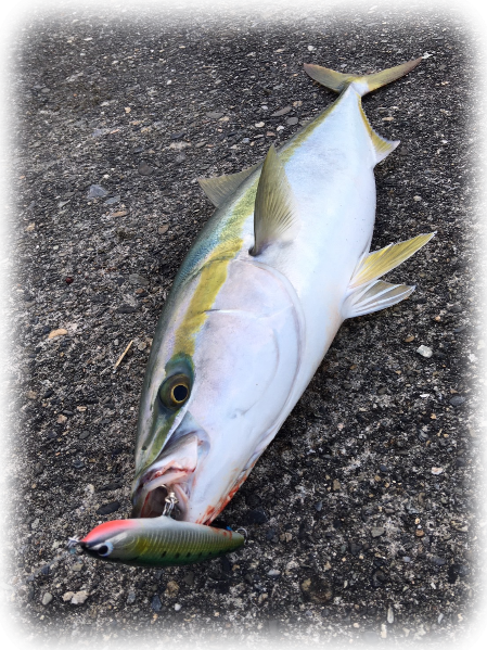 Fishery！ - ハンドメイドルアー流神HP