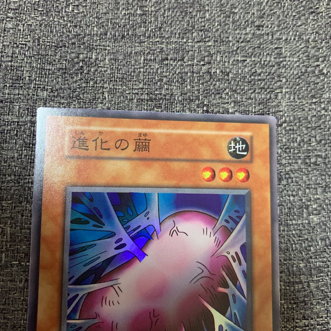 遊戯王 進化の繭 初期 スーパーレア 極美品 1枚の通販 さち