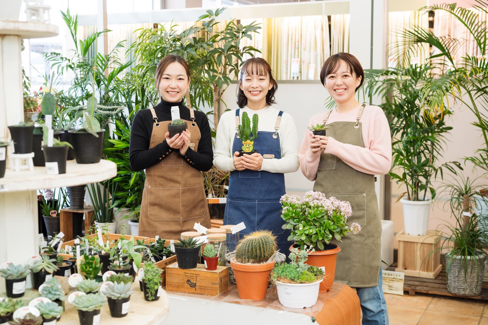 vol.10 木製プランターを使った多肉植物の寄せ植え - コラム 【WOMO】