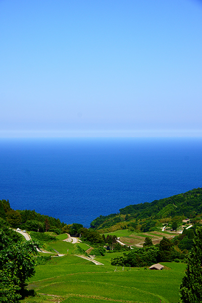岩首昇竜棚田 | 佐渡棚田協議会