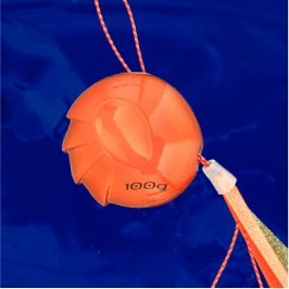 AMMONITE タイラバ | シーフロアコントロール公式サイト