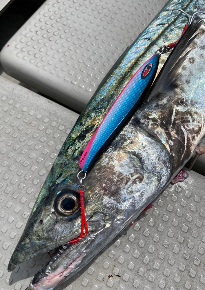 海域、魚種を選ばない万能メタルジグ【 amu -アム- 】 | シーフロア