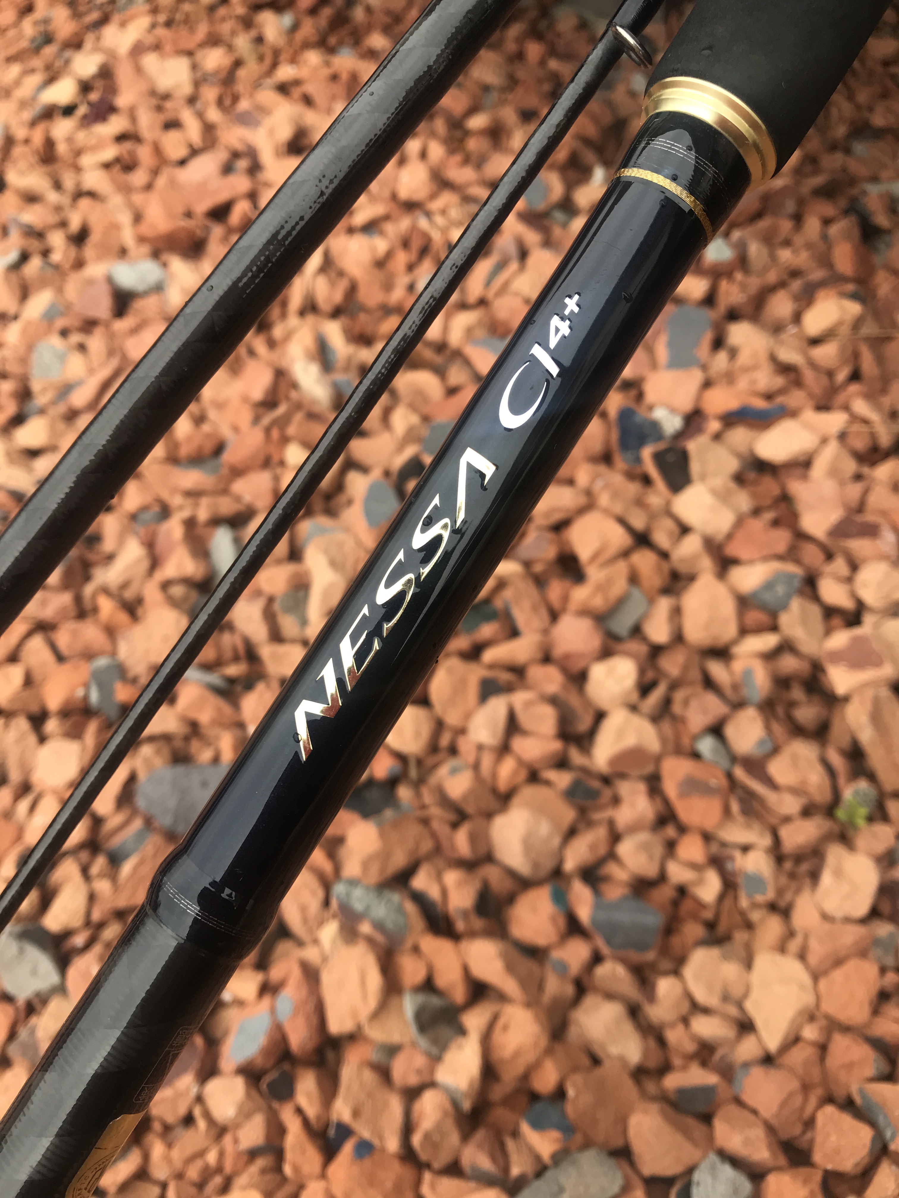 シマノネッサCi4+ S1008MMHを一年投げ倒した感想！