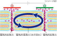 APPROACH X & APPBで叶える、未来のキレイ! | きれいのレシピ by